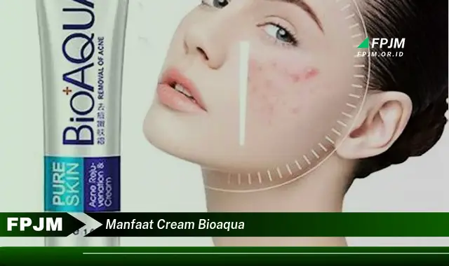 manfaat cream bioaqua manfaat cream bioaqua