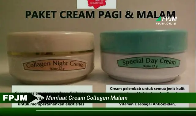 manfaat cream collagen malam manfaat cream collagen malam