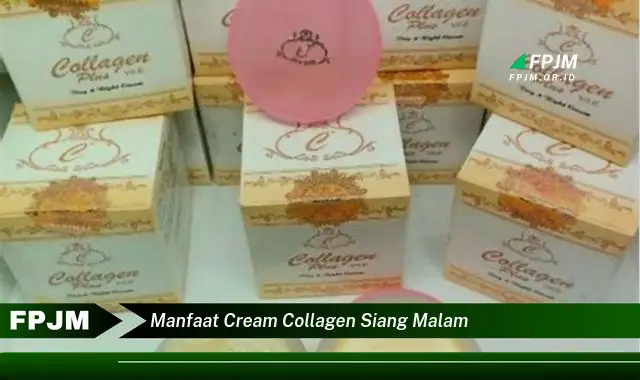 manfaat cream collagen siang malam