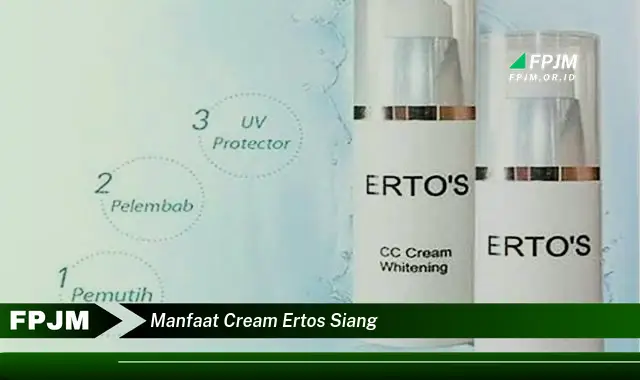 manfaat cream ertos siang