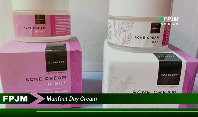 manfaat day cream