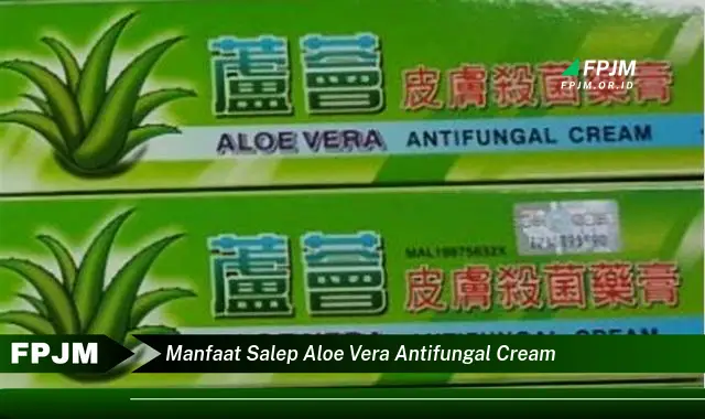 manfaat salep aloe vera antifungal cream