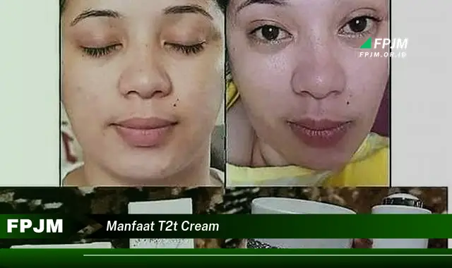 manfaat t2t cream