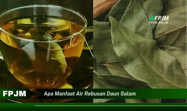 apa manfaat air rebusan daun salam