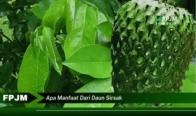 apa manfaat dari daun sirsak