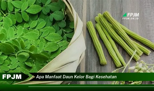 Ketahui 8 Manfaat Daun Kelor bagi Kesehatan, Panduan Lengkap dari Akar hingga Daun