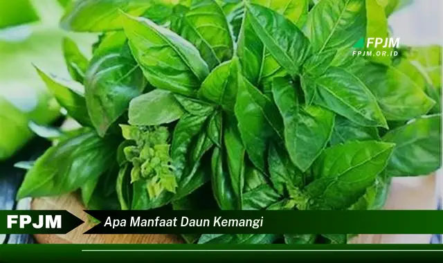 apa manfaat daun kemangi