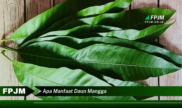 Ketahui 9 Manfaat Daun Mangga untuk Kesehatan Tubuh Anda