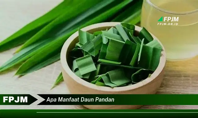 Ketahui 9 Manfaat Daun Pandan untuk Kesehatan, Masakan, dan Kecantikan