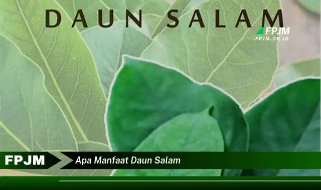 apa manfaat daun salam