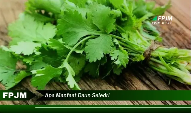 apa manfaat daun seledri