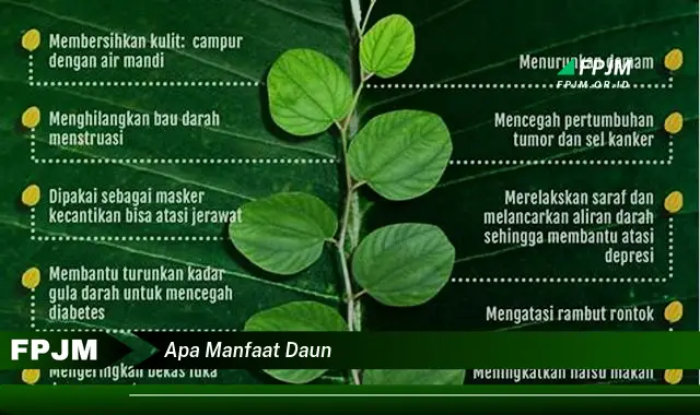 apa manfaat daun