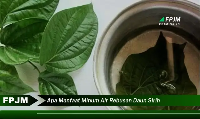 apa manfaat minum air rebusan daun sirih