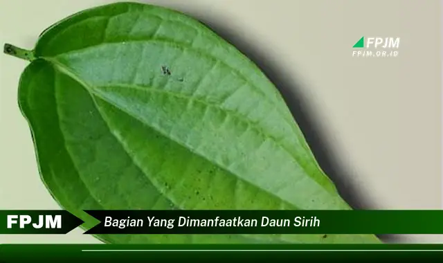 bagian yang dimanfaatkan daun sirih