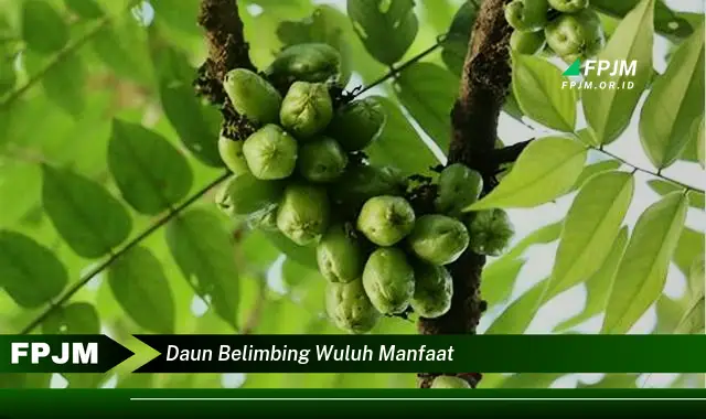 Ketahui 9 Manfaat Daun Belimbing Wuluh untuk Kesehatan dan Kecantikan