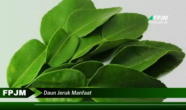 daun jeruk manfaat