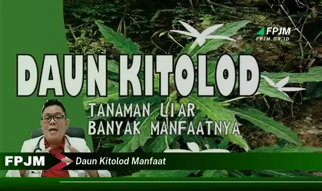 Temukan 8 Manfaat Daun Kitolod untuk Kesehatan Mata dan Lainnya