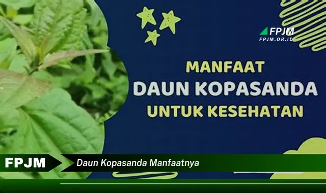 Ketahui 9 Manfaat Daun Kopasanda untuk Kesehatan Anda