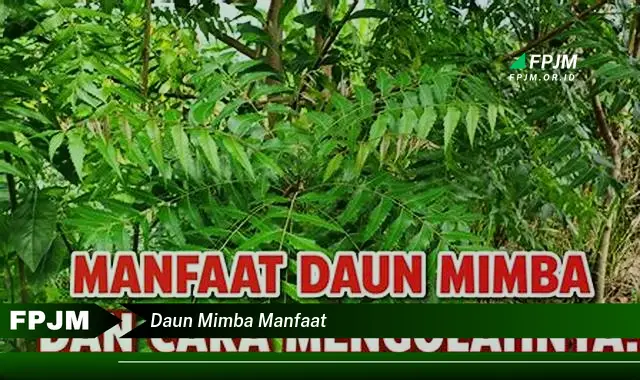 Ketahui 9 Manfaat Daun Mimba untuk Kesehatan Anda