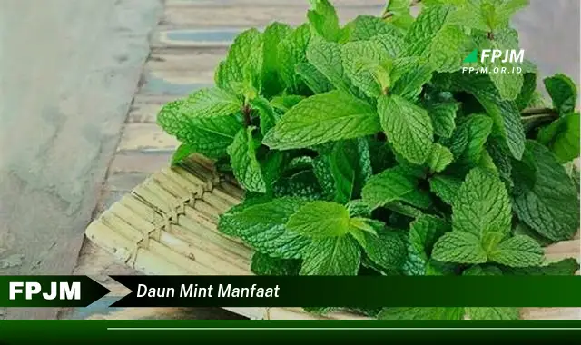 daun mint manfaat