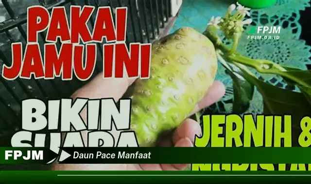 Temukan 8 Manfaat Daun Pace untuk Kesehatan dan Kecantikan Anda