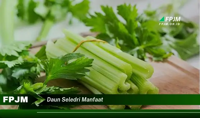 daun seledri manfaat