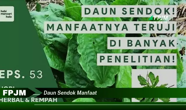 Ketahui 9 Manfaat Daun Sendok untuk Kesehatan Tubuh Anda