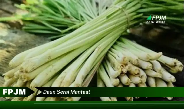 daun serai manfaat