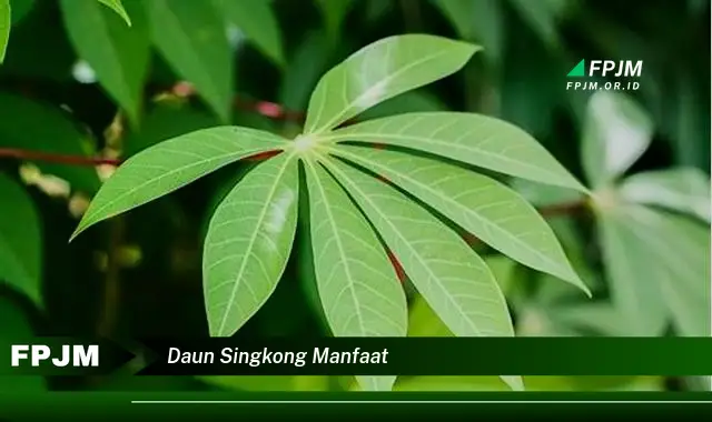 Ketahui 8 Manfaat Daun Singkong untuk Kesehatan Tubuh Anda