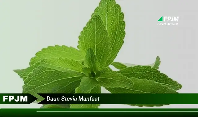 daun stevia manfaat