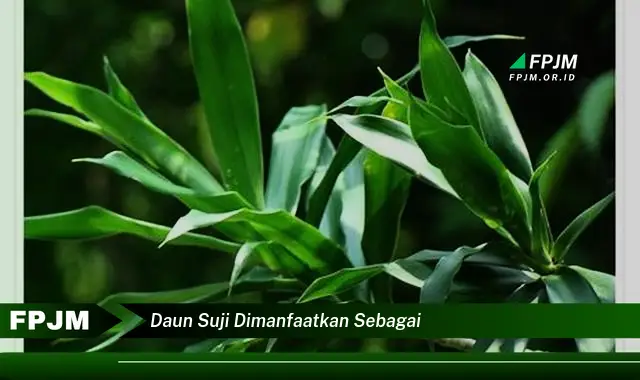 Ketahui 8 Manfaat Daun Suji Dimanfaatkan Sebagai Pewarna Alami Makanan dan Minuman