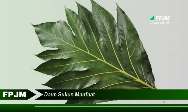 daun sukun manfaat