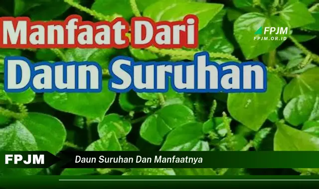 Ketahui 10 Manfaat Daun Suruhan untuk Kesehatan dan Kecantikan