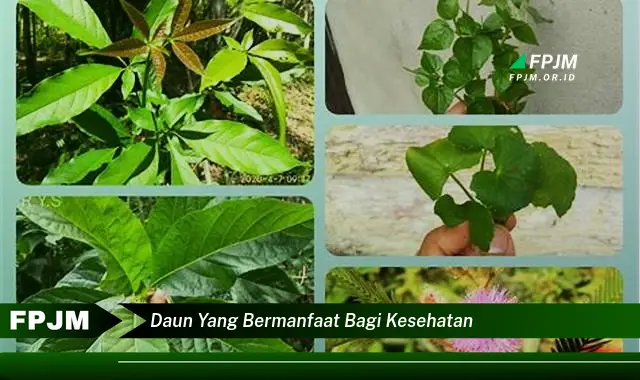 Temukan 8 Manfaat Daun yang Bermanfaat bagi Kesehatan, 10 Daun Berkhasiat untuk Tubuh Anda