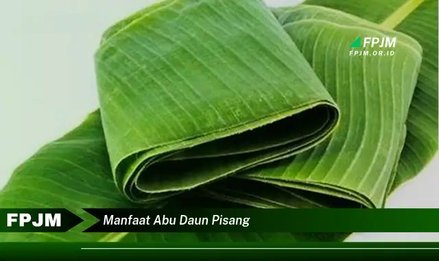 manfaat abu daun pisang