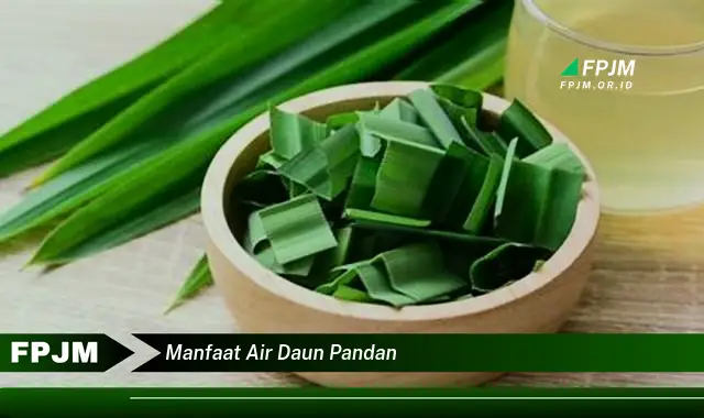 Ketahui 9 Manfaat Air Daun Pandan untuk Kesehatan Tubuh dan Kecantikan