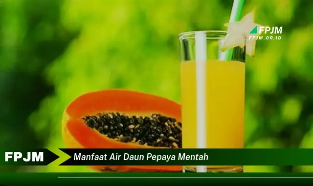 manfaat air daun pepaya mentah