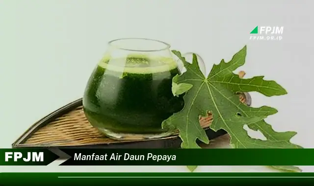 manfaat air daun pepaya