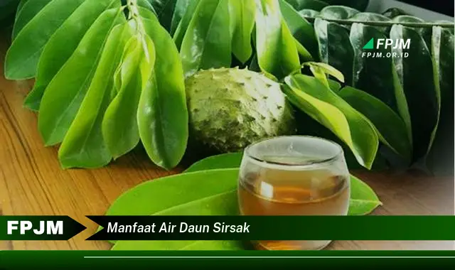 manfaat air daun sirsak