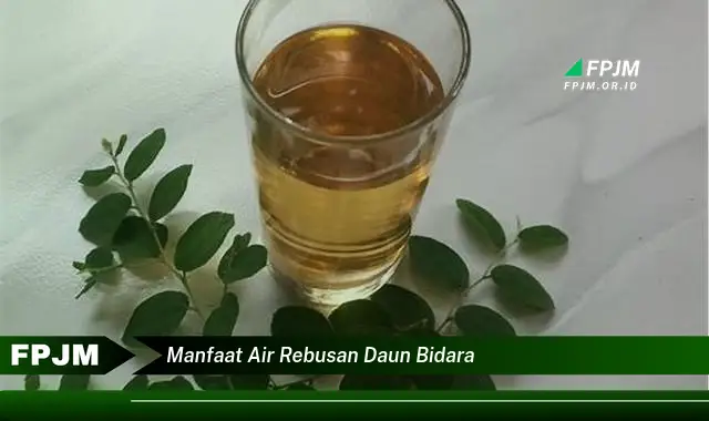 manfaat air rebusan daun bidara