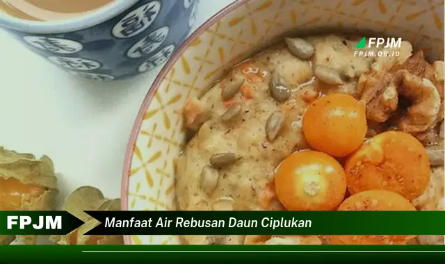 manfaat air rebusan daun ciplukan