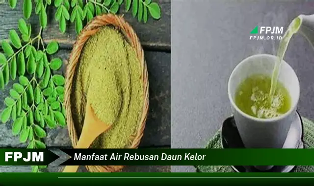 manfaat air rebusan daun kelor