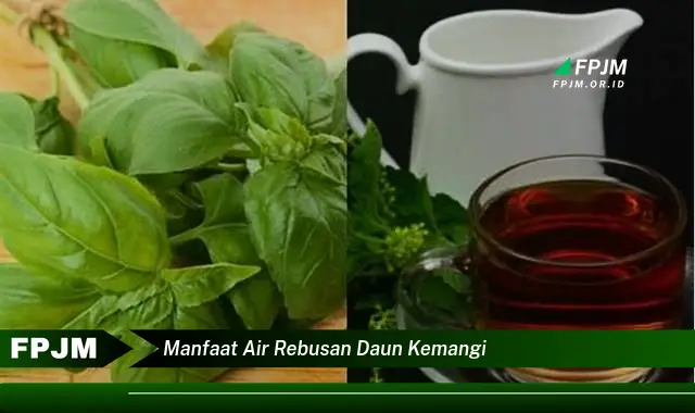 manfaat air rebusan daun kemangi