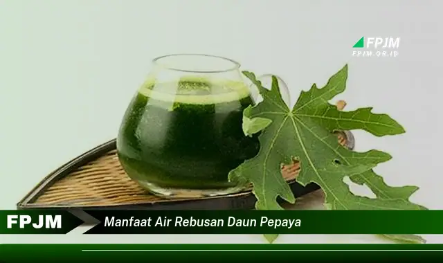 manfaat air rebusan daun pepaya