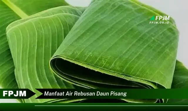 manfaat air rebusan daun pisang