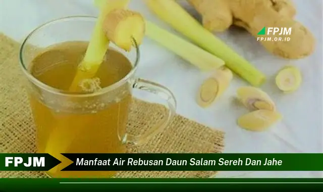 manfaat air rebusan daun salam sereh dan jahe