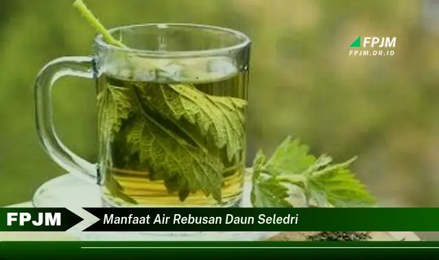 manfaat air rebusan daun seledri