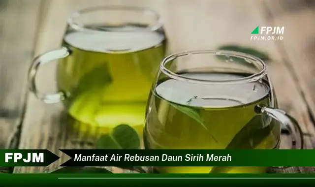 manfaat air rebusan daun sirih merah