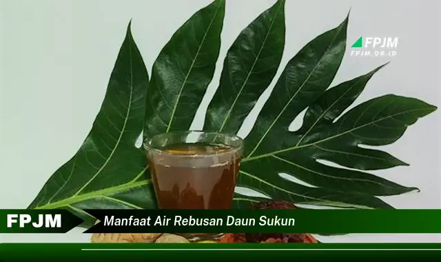 manfaat air rebusan daun sukun