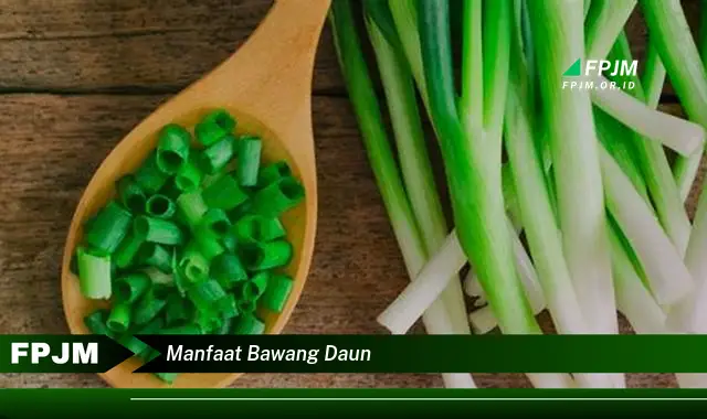 manfaat bawang daun